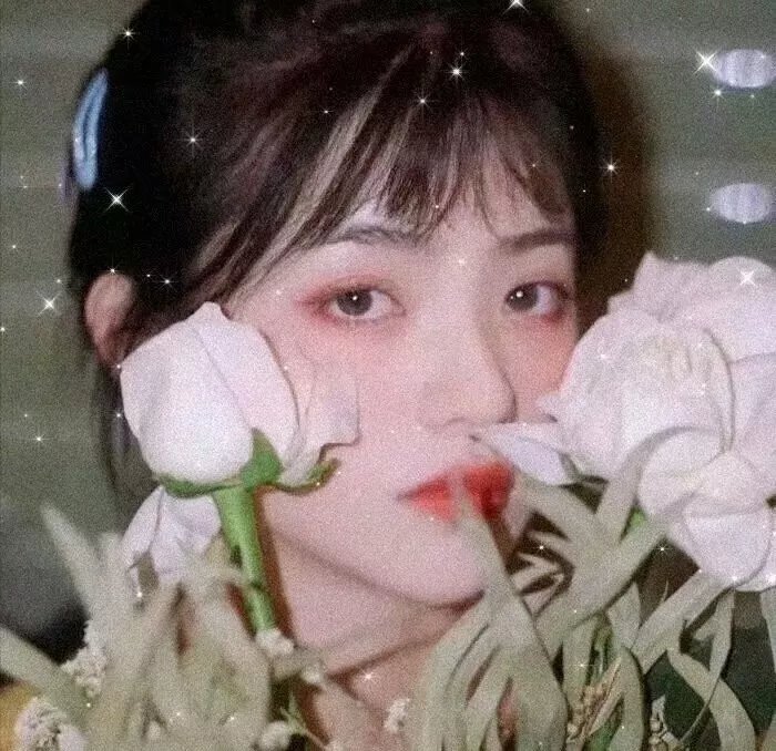 在父亲的花园里